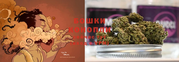 спиды Лагань