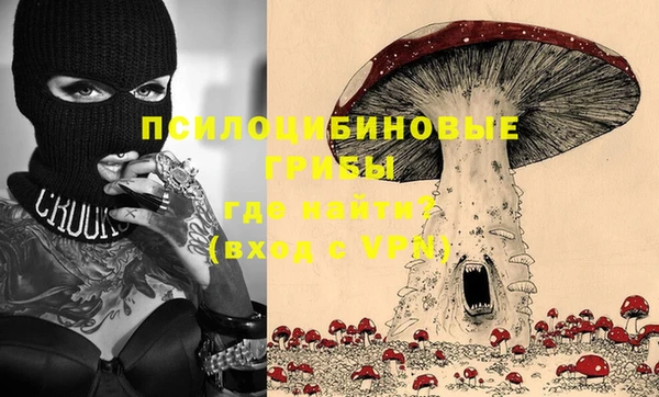 гидра Аркадак